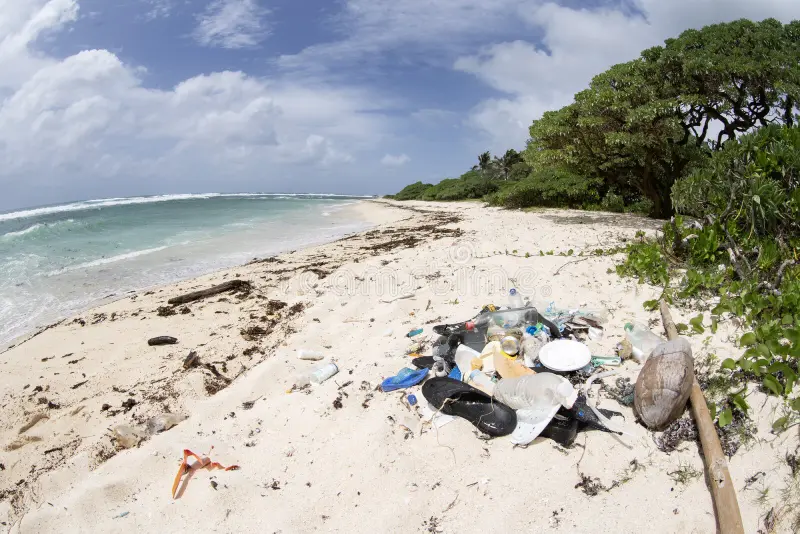 Plastic debris washed up on a remote tropical beach in the Indian Ocean